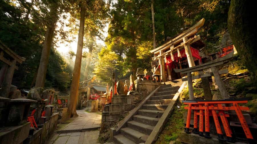 Osaka/Kyoto: Kiyomizudera Fushimi Inari, Nara Tour w/ Pickup - Todai-ji and the Great Buddha