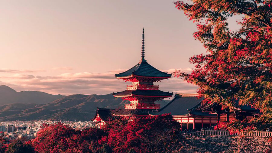 Osaka/Kyoto: Kiyomizudera Fushimi Inari, Nara Tour w/ Pickup - Kasuga Shrine and the Surprise Stops