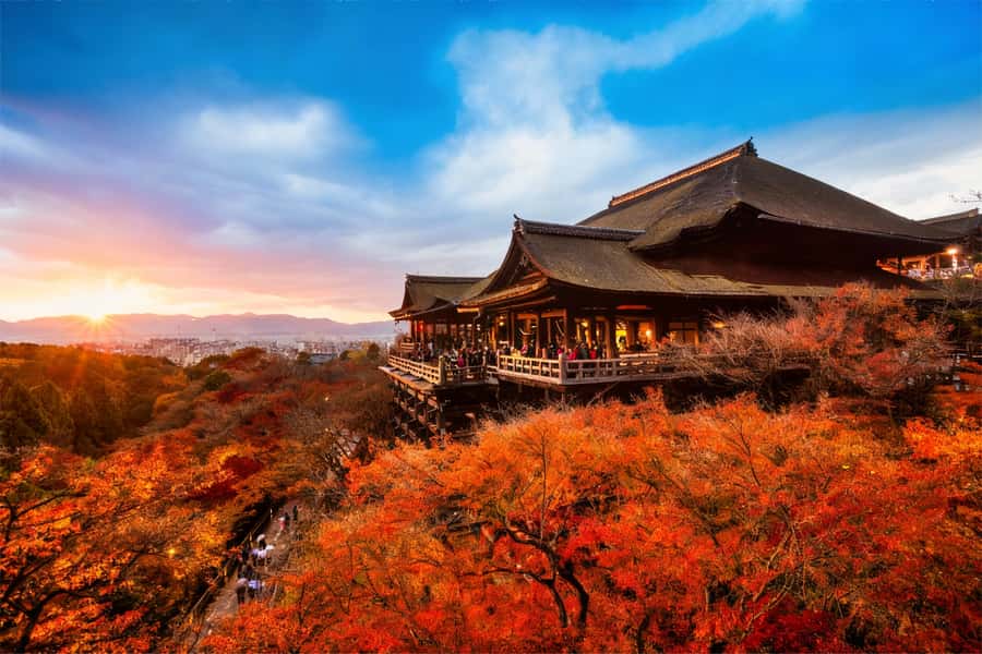 Osaka/Kyoto: Kiyomizudera Fushimi Inari, Nara Tour w/ Pickup - Walking Through Fushimi Inari’s Senbon Torii