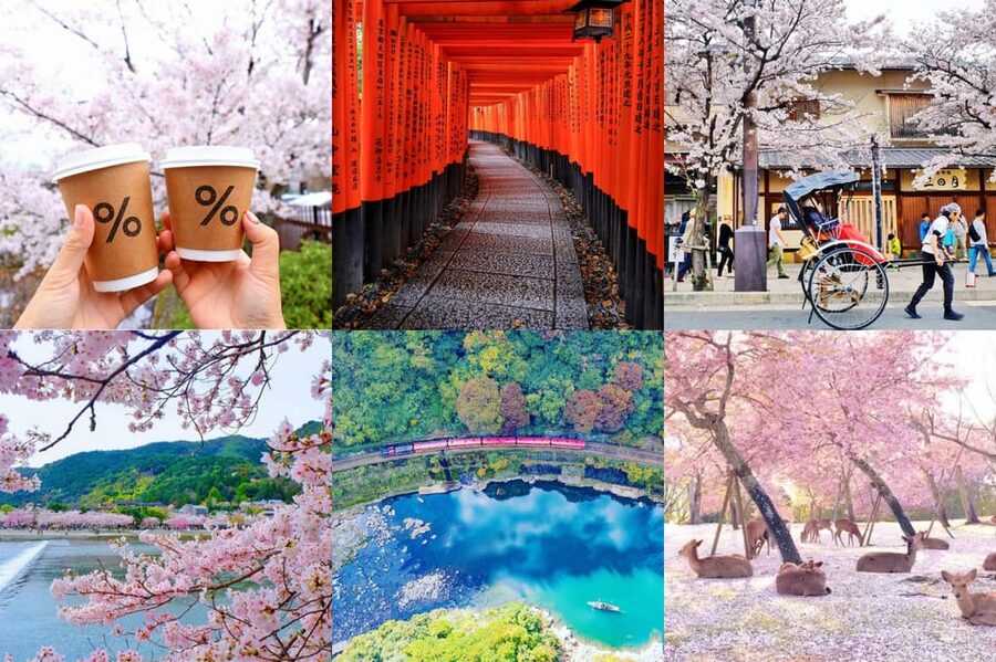 OSAKA-KYOTO-NARA Highlight Customized Trip With Hotel Pickup - Choosing between Kyoto, Nara, and Osaka