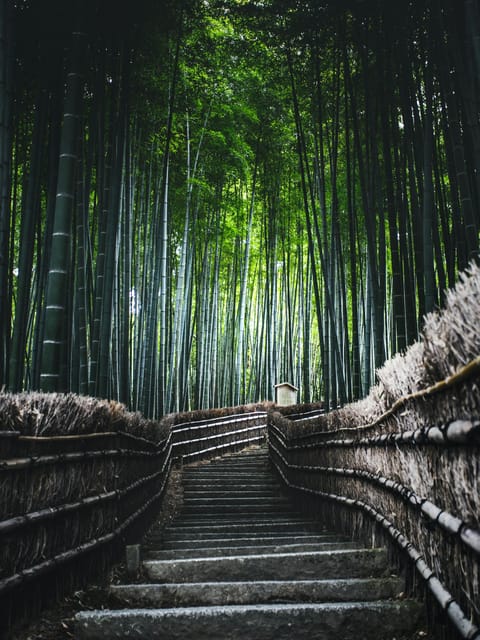 OSAKA-KYOTO-NARA Highlight Customized Trip With Hotel Pickup - Arashiyama Bamboo Forest and Tenryu-ji