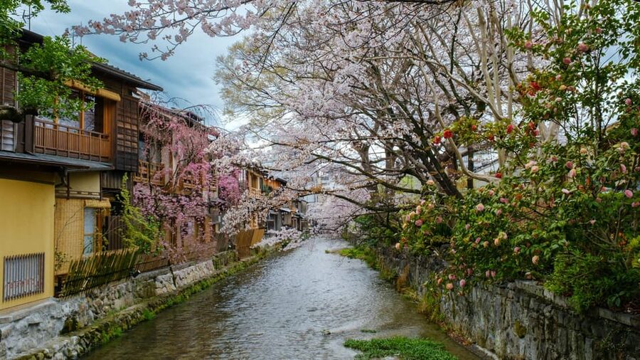 OSAKA-KYOTO-NARA Highlight Customized Trip With Hotel Pickup - Nishiki Market brings a food break