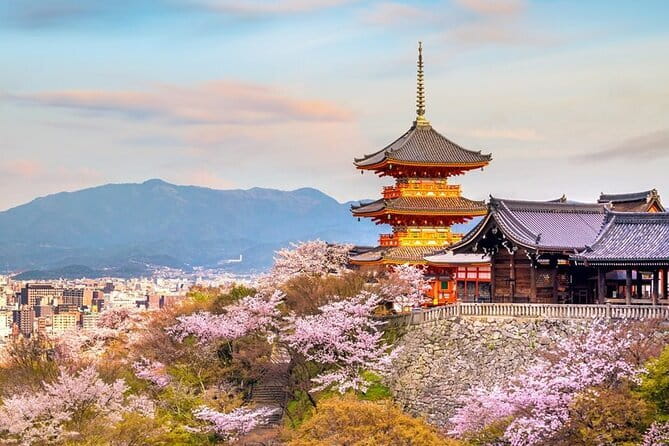 Osaka & Kyoto & Nara Top Hightlights English Speaking Tour - Key points at a glance