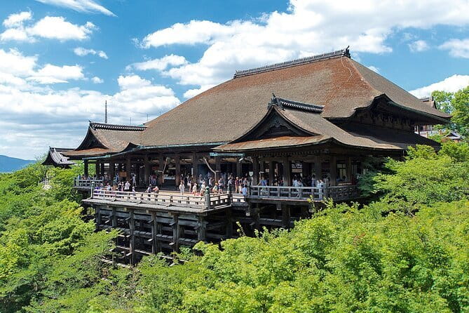 Osaka & Kyoto & Nara Top Hightlights English Speaking Tour - What this $54 Kyoto and Nara day is really offering