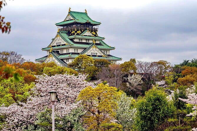 Osaka & Kyoto & Nara Top Hightlights English Speaking Tour - Nara Park and the deer
