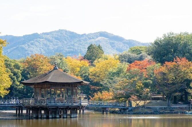 Osaka & Kyoto & Nara Top Hightlights English Speaking Tour - Guides, explanations, and how much help you receive