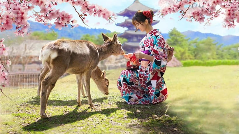 Osaka: Kyoto & Nara & Uji Historical and Scenic One-Day Tour - Byodoin Temple and the Phoenix Hall