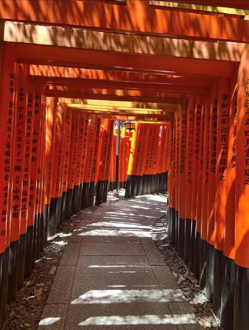 Osaka: Kyoto & Nara & Uji Historical and Scenic One-Day Tour - The ride, guide, and group rhythm