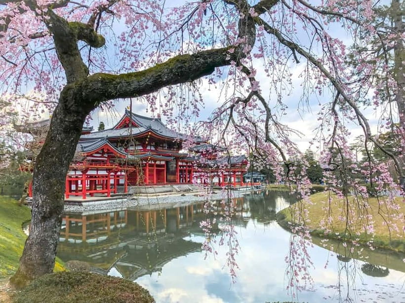 Osaka: Kyoto & Nara & Uji Historical and Scenic One-Day Tour - Nara Park and the deer encounter