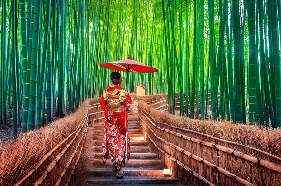 Osaka/Kyoto: Private Kyoto and Nara Day Trip - Fushimi Inari Taisha and its orange gates
