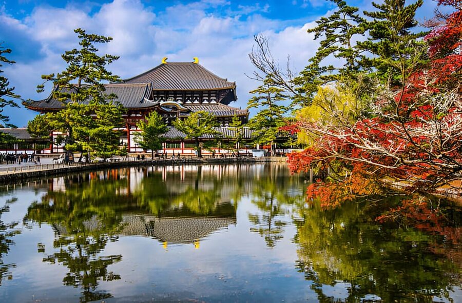 Osaka/Kyoto: Private Kyoto and Nara Day Trip - Nara Park, where the deer take charge