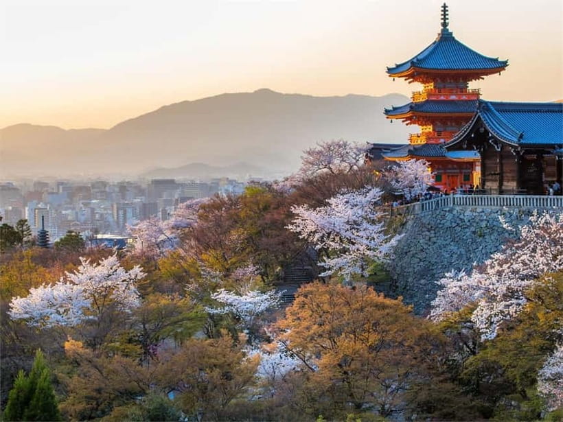 Osaka: Kyoto & Uji Historical Sites and Scenic Delights Tour - Byodo-in and the ten-yen coin view