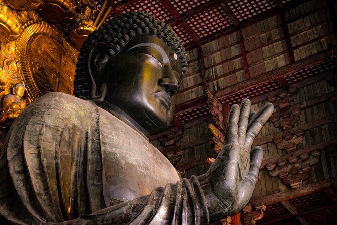 Osaka & Nara in 1-Day by Private Van with Local Expert Guide - Quick take: what makes this tour useful