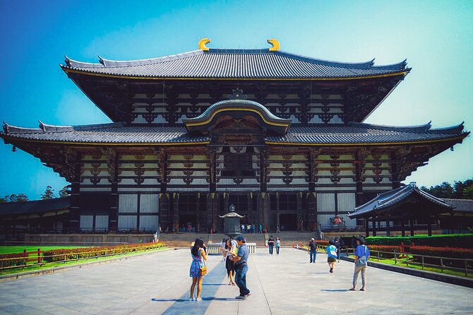 Osaka & Nara in 1-Day by Private Van with Local Expert Guide - A smart way to see two cities from Kyoto