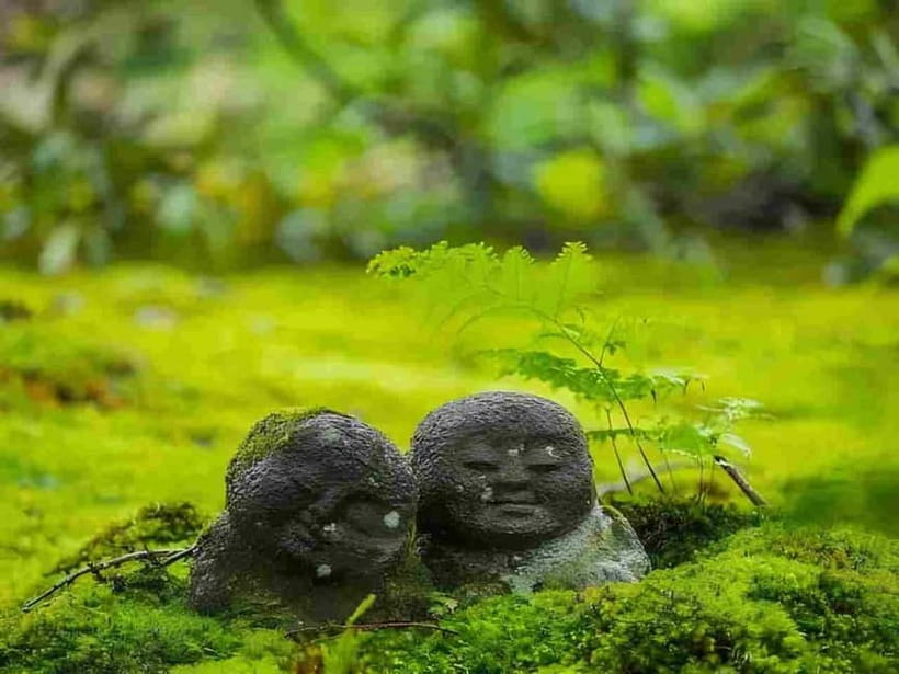 Osaka to Kyoto: Arashiyama Bamboo Grove Small Group Tour - Key points before you book