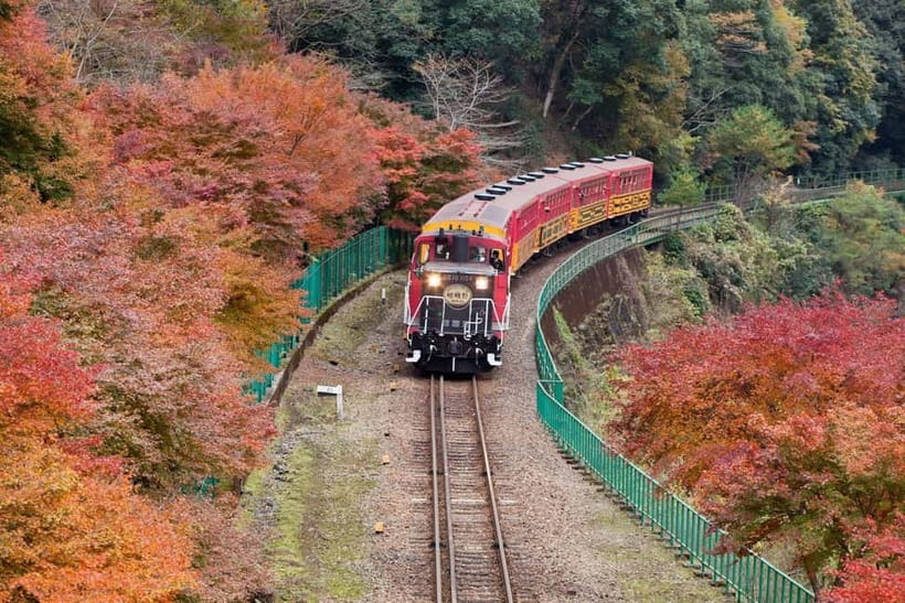 Osaka to Kyoto: Arashiyama Bamboo Grove Small Group Tour - Who should choose this day trip
