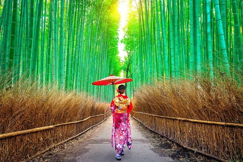 Osaka to Kyoto: Arashiyama Bamboo Grove Small Group Tour - Sanzen-in and the moss gardens of Ohara