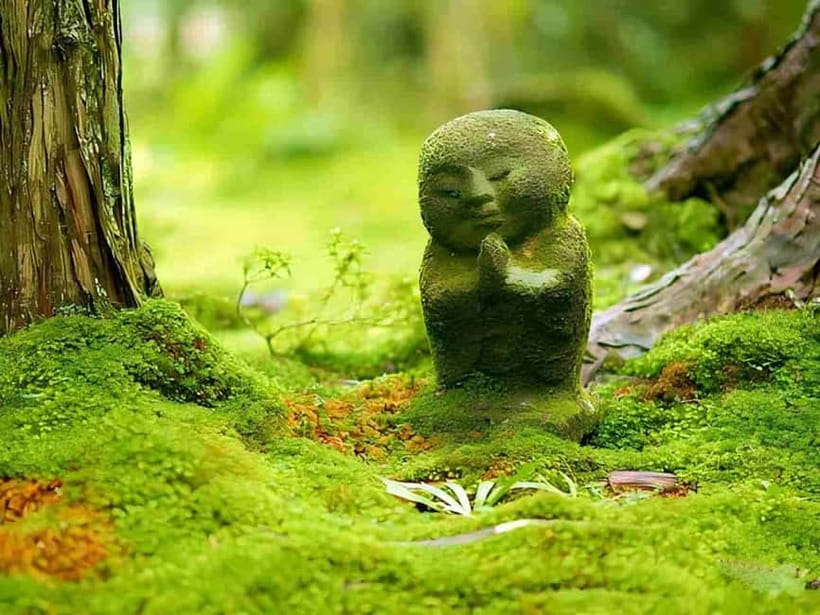 Osaka to Kyoto: Arashiyama Bamboo Grove Small Group Tour - Arashiyama Bamboo Grove in a tight 40 minutes