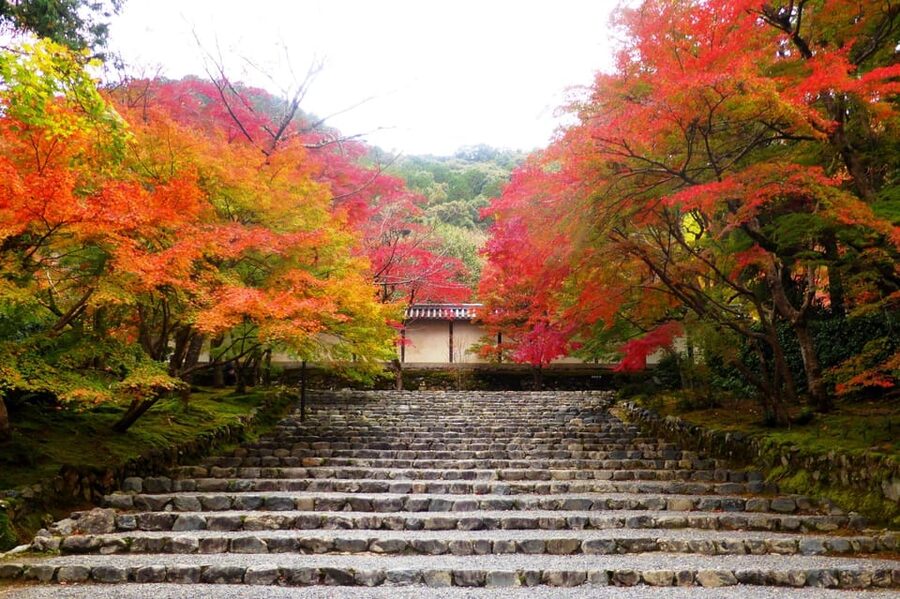 Osaka to Kyoto: Arashiyama Bamboo Grove Small Group Tour - Ten hours on the road, and what the price covers