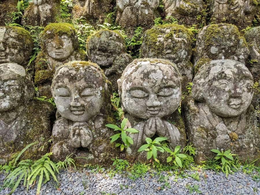 Otagi Nenbutsu-ji & Arashiyama Bamboo Forest Walking Tour - Key points at a glance