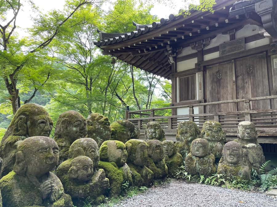 Otagi Nenbutsu-ji & Arashiyama Bamboo Forest Walking Tour - The private ride from Kyoto Station saves effort