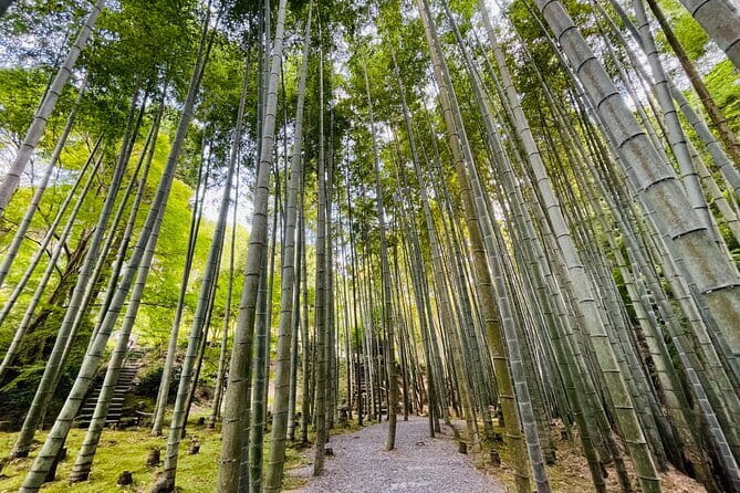Pedal Adventure Kyoto E-Bike tour : True Kyoto Avoid the crowds - Getting started at Raku-chari Sanjo