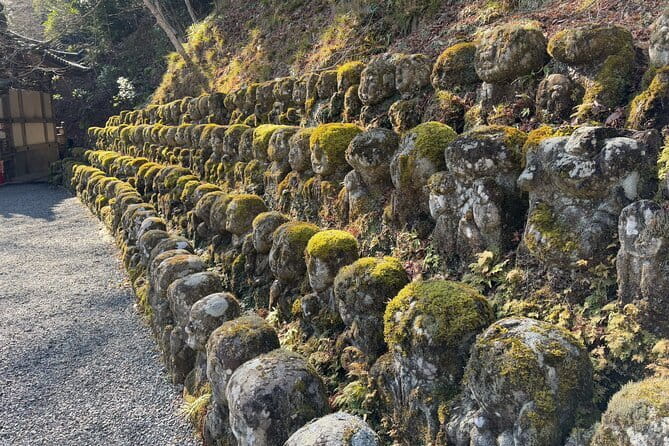 Pedal Adventure Kyoto's iconic landmarks on an e-bike tour - Is $86.22 good value?