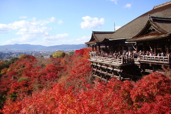 PERFECT KYOTO 1-Day Bus Tour - Key points at a glance