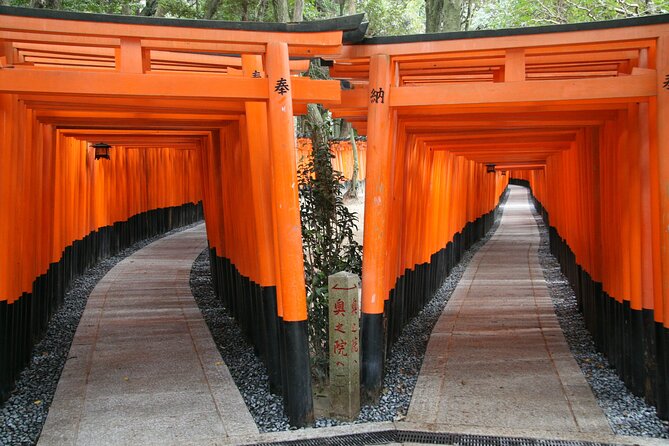 PERFECT KYOTO 1-Day Bus Tour - Kiyomizu-dera and the first Kyoto views