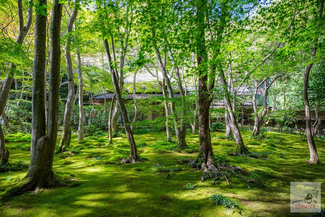 Private 3-hour Kyoto Arashiyama Rickshaw Tour - Jojakkoji adds a hill and a view