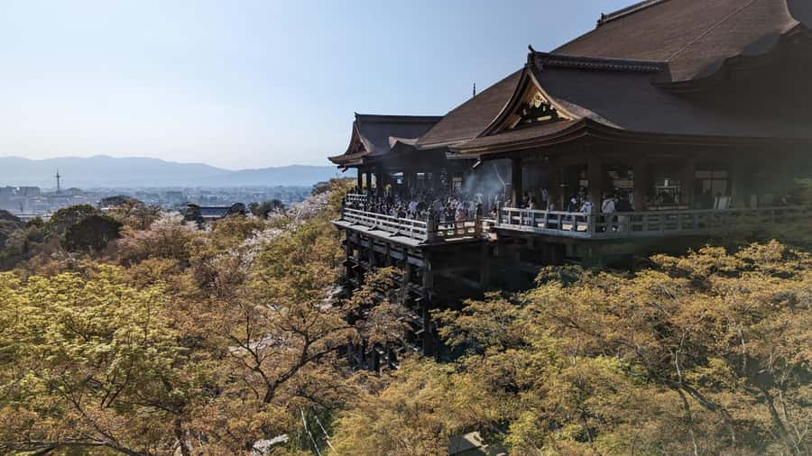 Private 8 hour Tour around Kyoto with Spanish guide - Starting at Nijo Castle and the Tokugawa shoguns