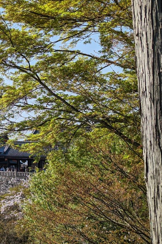 Private 8 hour Tour around Kyoto with Spanish guide - Walking through Higashiyama
