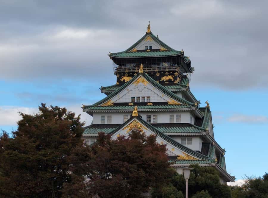 Private 8 hour Tour around Kyoto with Spanish guide - Who should book this Kyoto tour