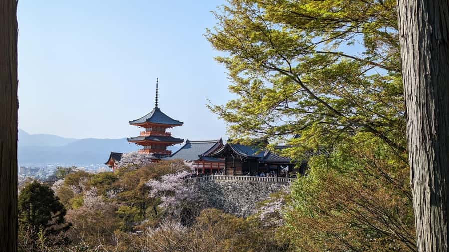 Private 8 hour Tour around Kyoto with Spanish guide - Kinkakuji, Kyoto’s Golden Pavilion