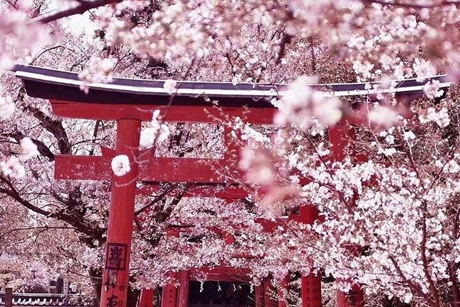 Private arrival transfer from Kansai International airport to Kyoto City - From KIX arrivals hall to your Kyoto hotel