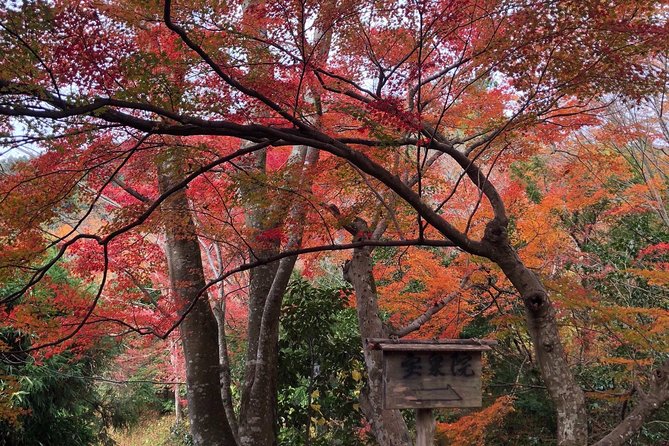 Private car tour in Kyoto (up to 4) - Nishiki Market for food, shopping, and local color