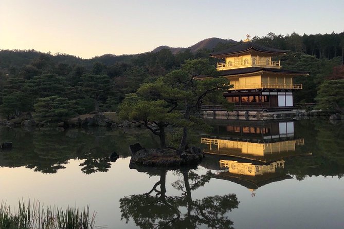 Private car tour in Kyoto (up to 9) - Nijo Castle and the world of the shogun