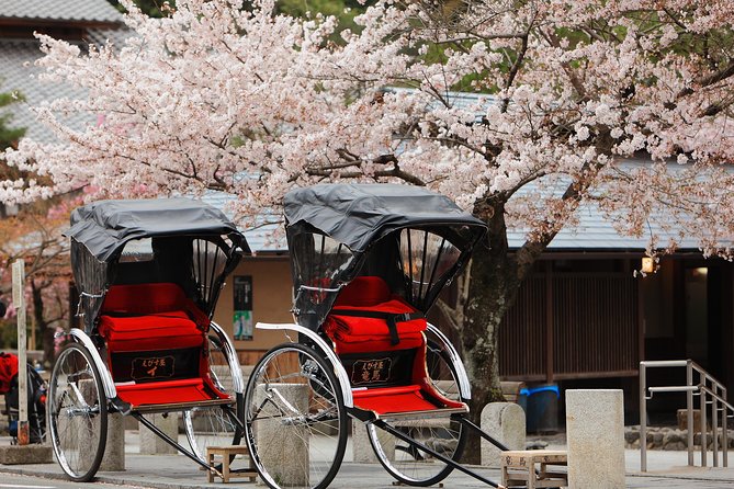 Private Custom Tour: Kyoto in One Day - Key points at a glance
