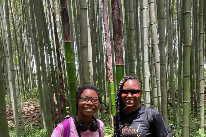 Private Custom Tour: Kyoto in One Day - Getting around Kyoto with a private guide