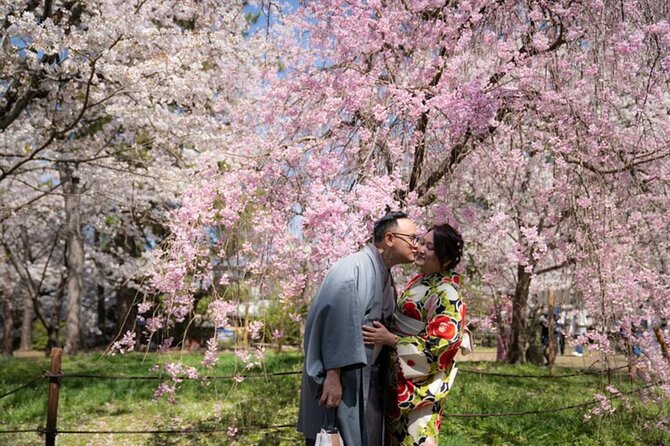 Private Customized Tour with Local Guide In Kyoto - Key points to know before booking