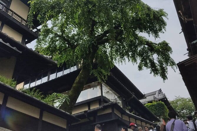 Private Customized Walking Tour in Kyoto - Nishiki Market, from food shops to tourist stop