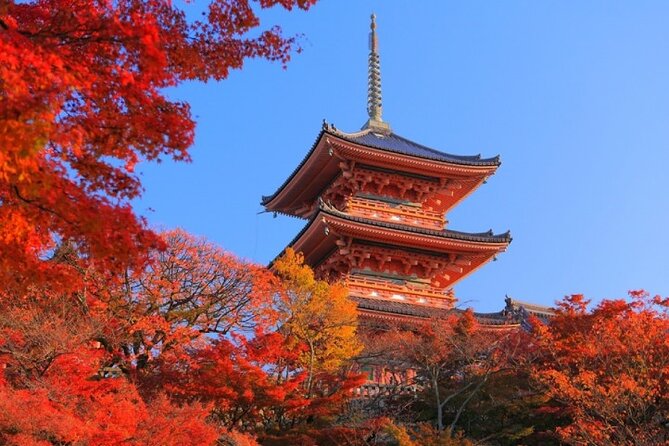 Private Day Tour in Osaka and Kyoto with charter car - A private route through Kyoto from an Osaka hotel