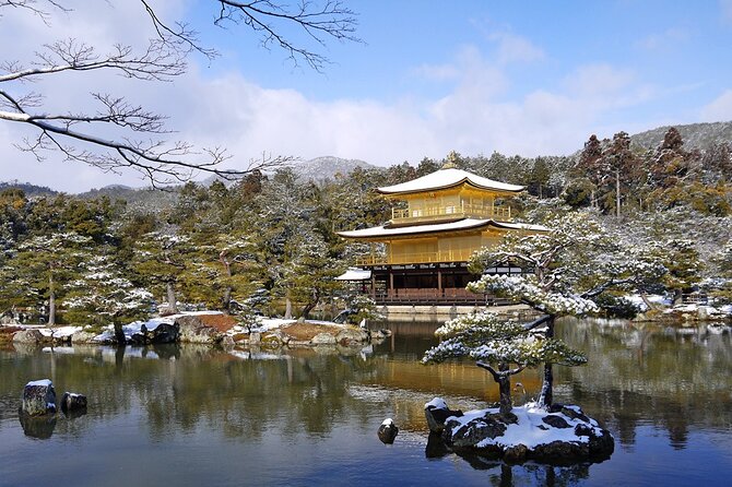 Private Day Tour in Osaka and Kyoto with charter car - Service, communication, and the driver