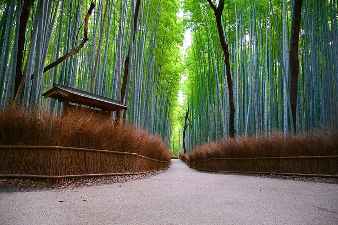 Private Day Tour - Kyoto Arashiyama & Bamboo Forest Perfect Tour! - Key points to know before booking