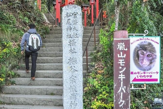 Private Day Tour - Kyoto Arashiyama & Bamboo Forest Perfect Tour! - Monkey Park Iwatayama and the climb to Kyoto views