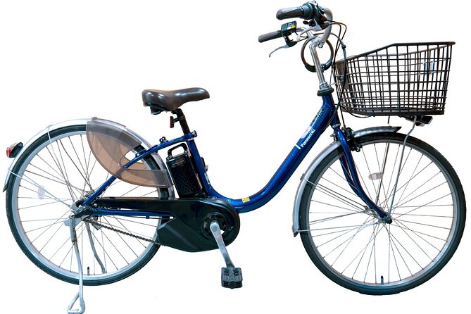 Private eBike Tour Exploring Fushimi with Torii Red Gate Ride - Price and what you receive for $111.05