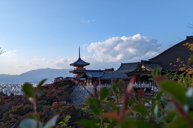 Private Guided Historical Sightseeing Tour in Kyoto - Fushimi Inari and its orange torii gates