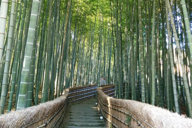 Private Highlights of Kyoto Tour - Why a Private Kyoto Day Can Be Worth the Cost