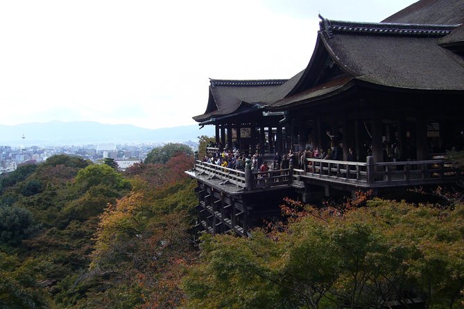 Private Highlights of Kyoto Tour - Should You Book This Kyoto Tour?