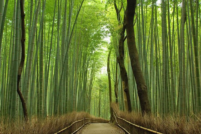 Private Kyoto Arashiyama Custom Half-Day Tour by Chartered Vehicle - Starting Among the Sagano Bamboo Groves